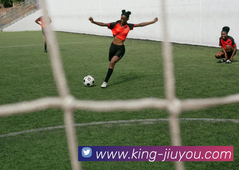 九游体育APP 封面图